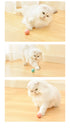 TGS - Pet Ball Prey Toy