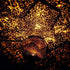 Starlight™ DIY Constellation Projection Lamp