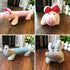 Squeaky Stuffed Chew Toys