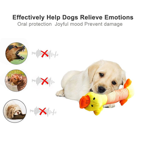 Squeaky Stuffed Chew Toys