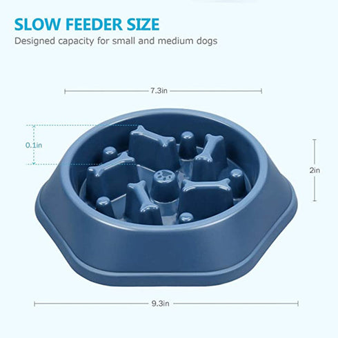 Slow Feeder Design Bowl