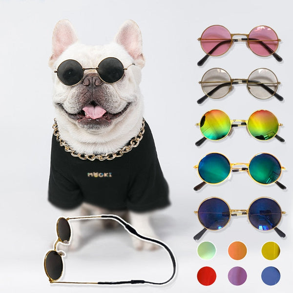 Coloured Dog Glasses